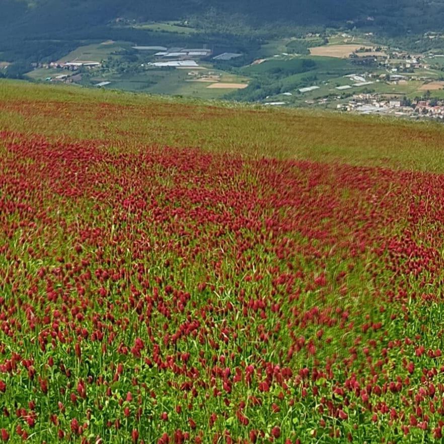 Aux Capitelles De Laure别墅 外观 照片